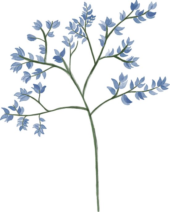 Blue Watercolor Plant